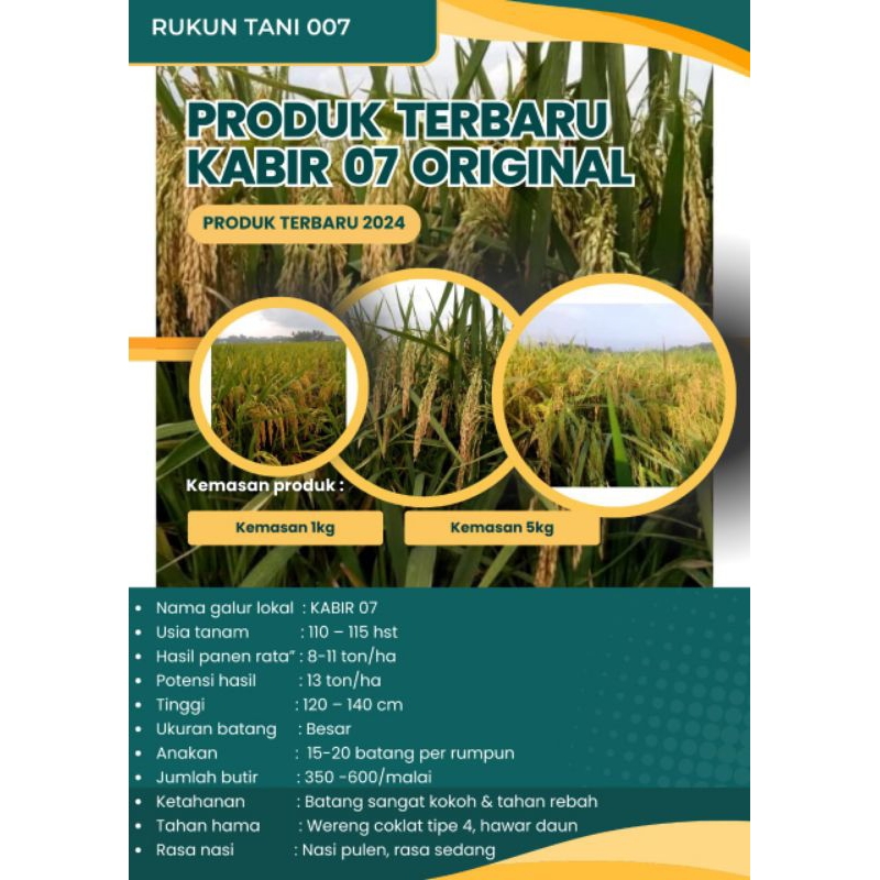Bibit Benih Padi Kabir 07 Original kemasan 1kg