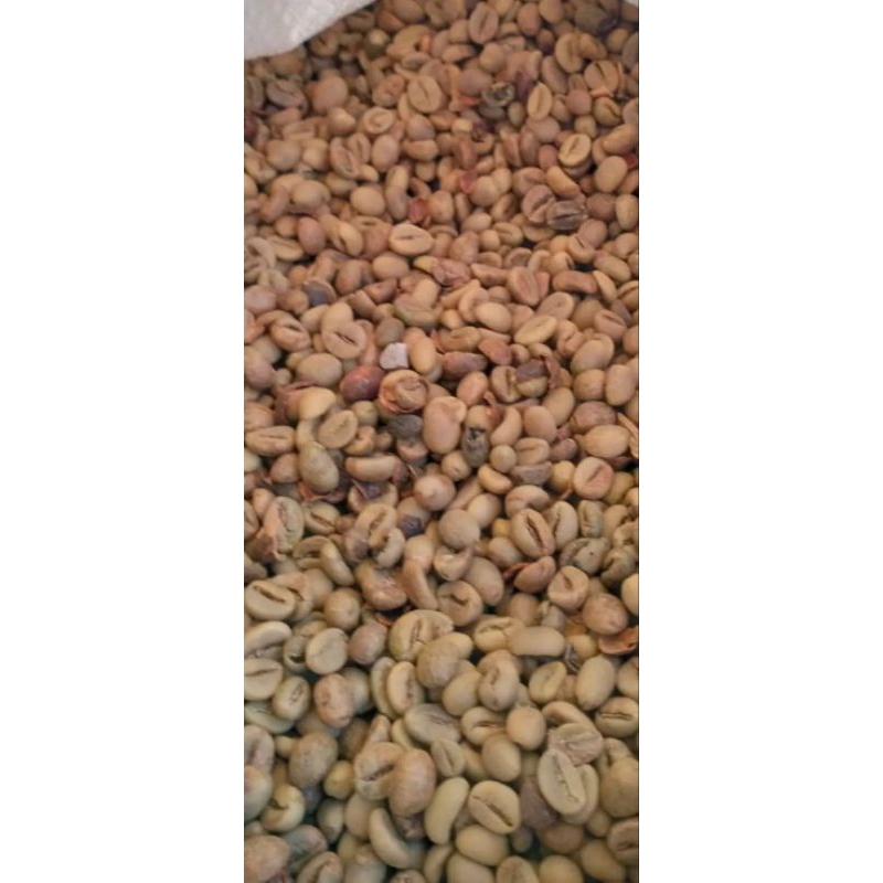 

kopi lakek