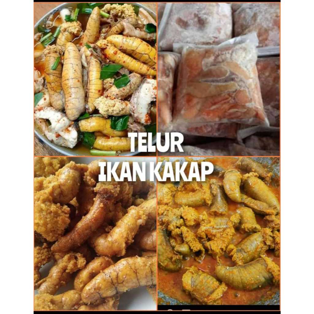 

TELUR IKAN KAKAP Segar Frozen Food Enak Lauk Bekal Sekolah Kantor