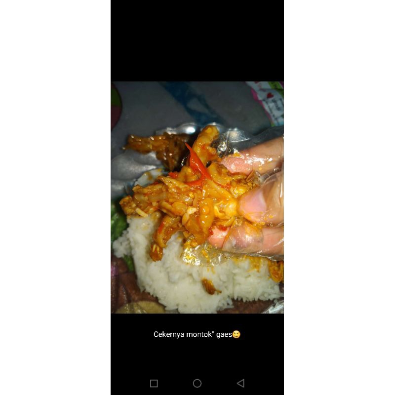 

cekermercontanpatulang