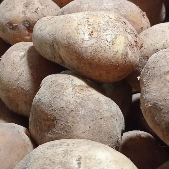 

Kentang Dieng | Harga per 500 gram