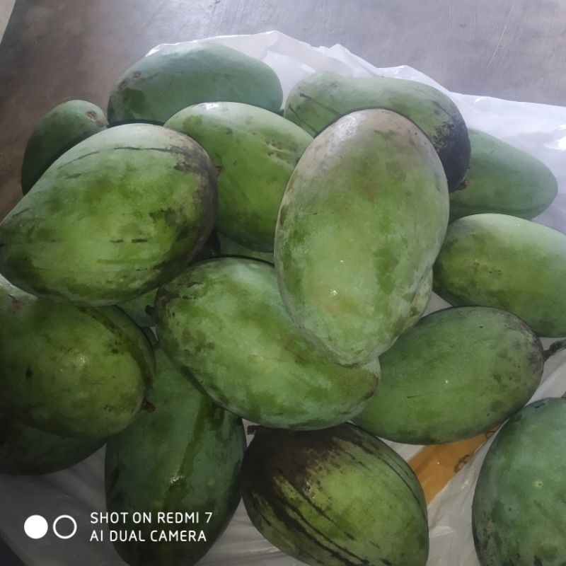

Mangga gadung 1kg