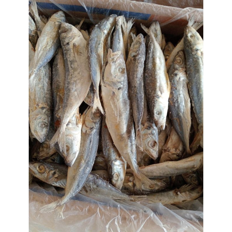 

IKAN ASIN LAYANG JUAL 1 biji k 3000 saja