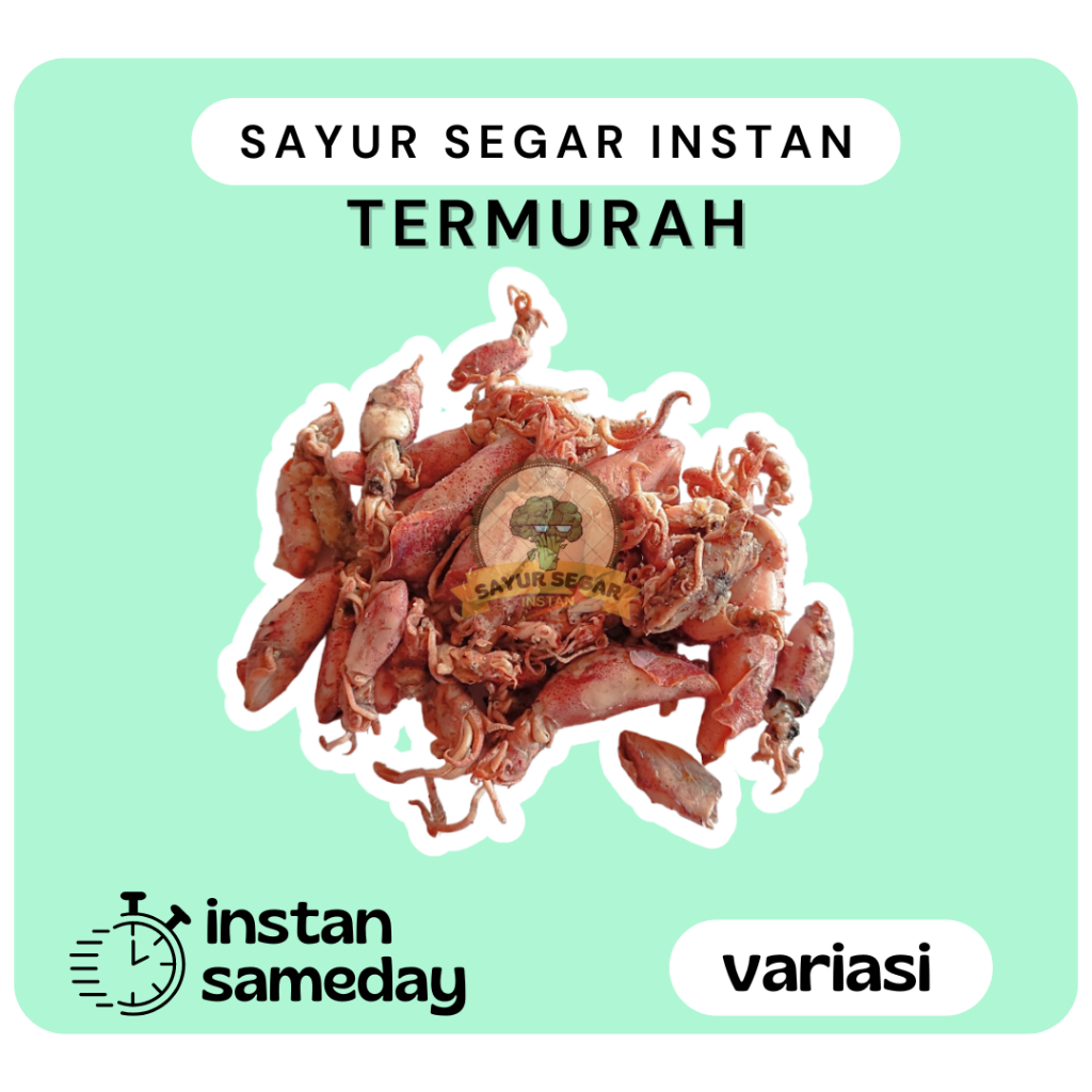 

Cumi Asin Segar / Ikan Asin Cumi