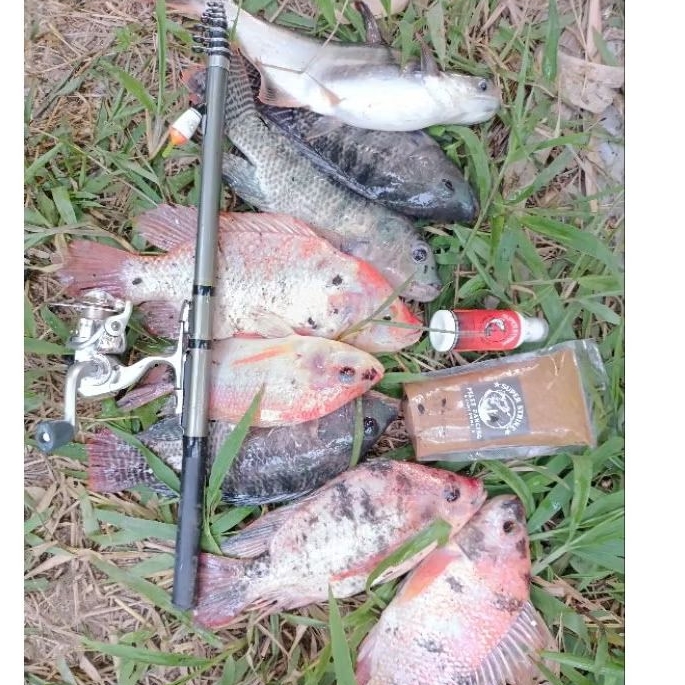 essen nila essen mujaer essen bawal super strike kolam empang danau sungai s.p