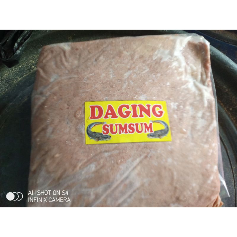 Umpan Galatama Lele Daging Sumsum Giling, Brownis