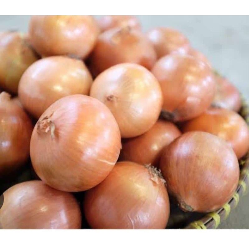 

Bawang bombay*✓1kg