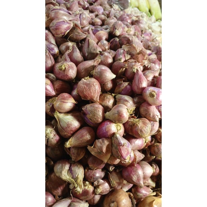 

Bawang merah berebes 250gram