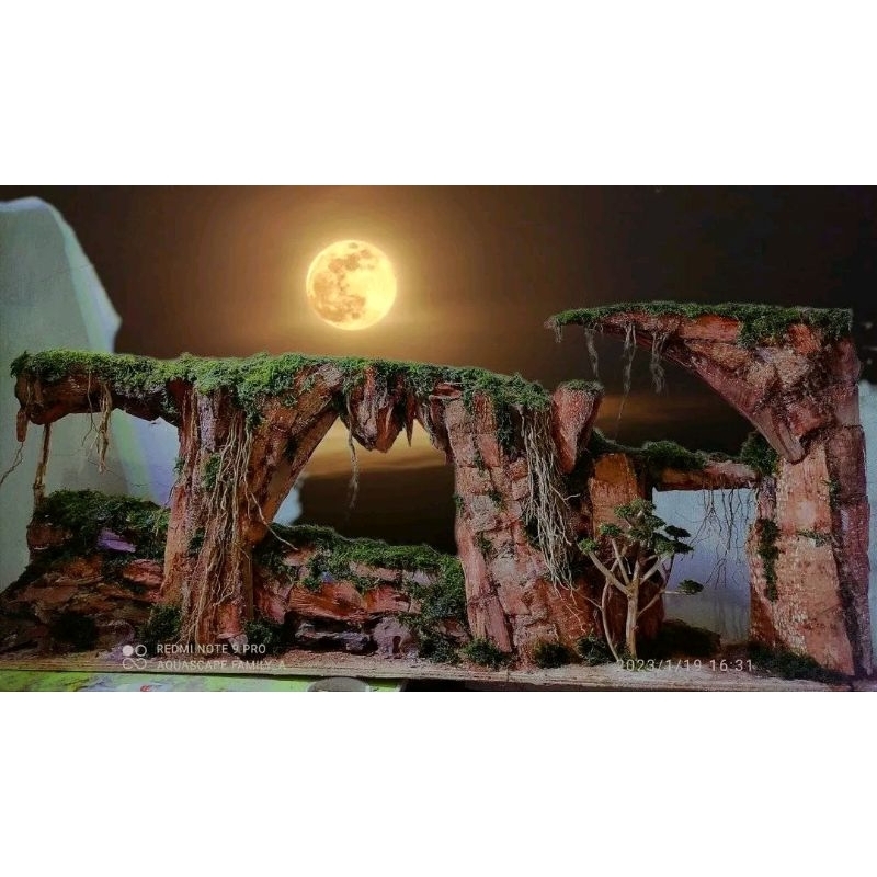 Hardscape tebing aquascape buat tank 100.40.40.cm sudah diplanting mossjava