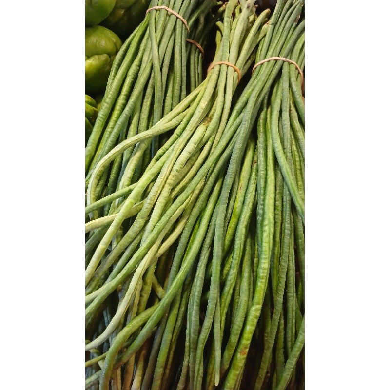 

kacang panjang 250gram