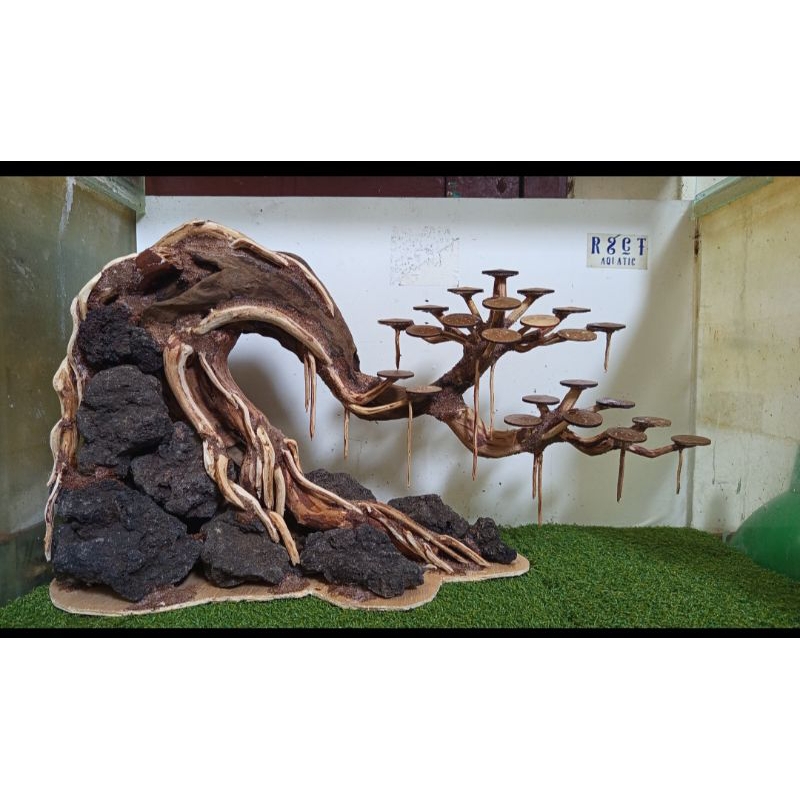 Bonsai Hardscape Aquascape