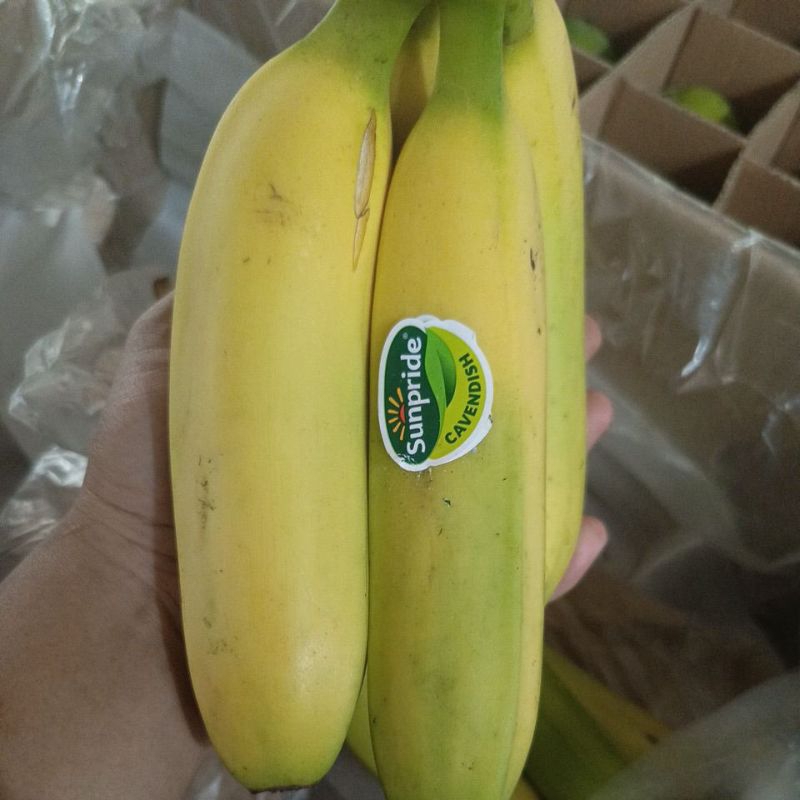 

Pisang