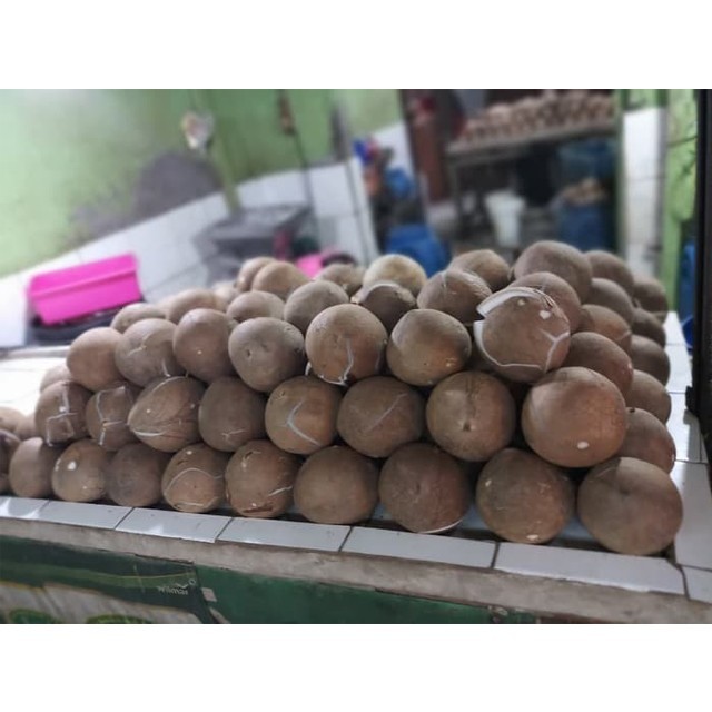 

SANTAN KELAPA BFRESH DI PARUT DARI BUAH KELAPA ASLI