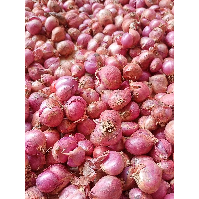 

Bawang Merah Sedang kualitas super paket 2kg