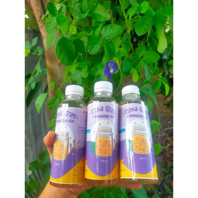 

kombucha