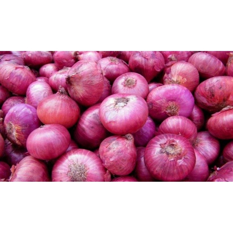 

Bawang Merah Bima