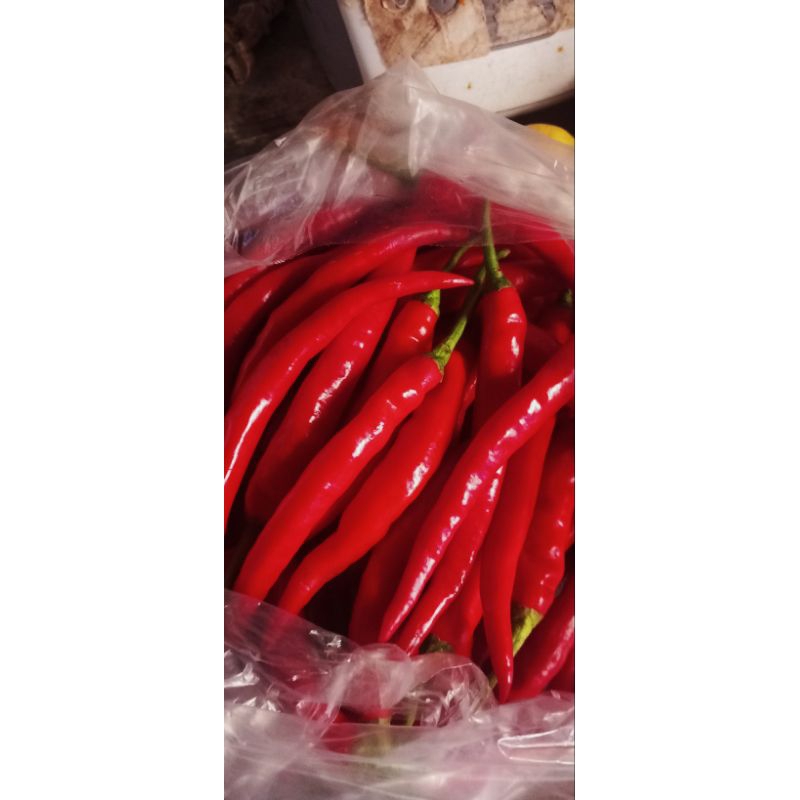 

Lombok merah/cabai merah/Lombok besar/cabai besar/cabai seblak/cabai sambal