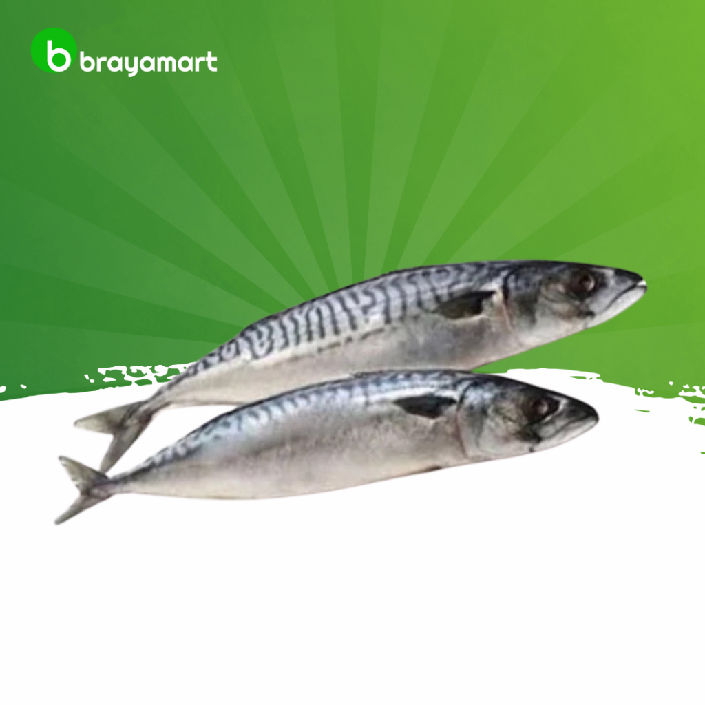 

Ikan Salam 1kg Brayamart