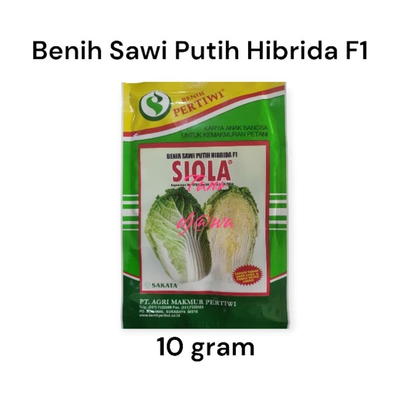 Benih Sawi Putih Hibrida F1 SIOLA