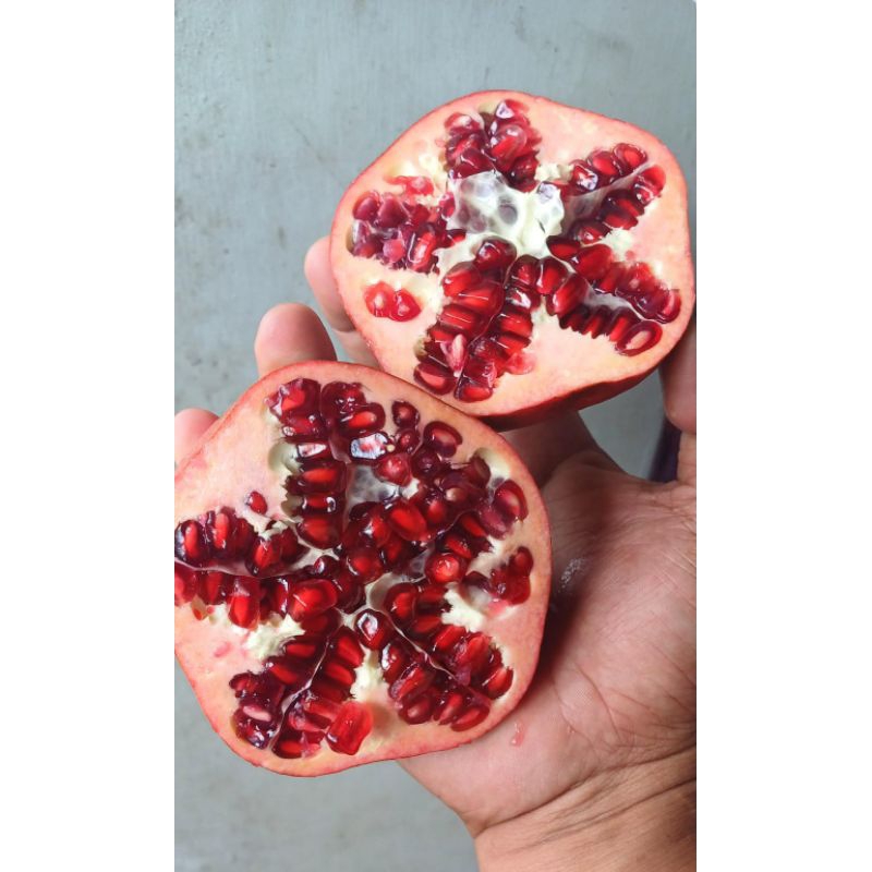 Buah delima 1kg