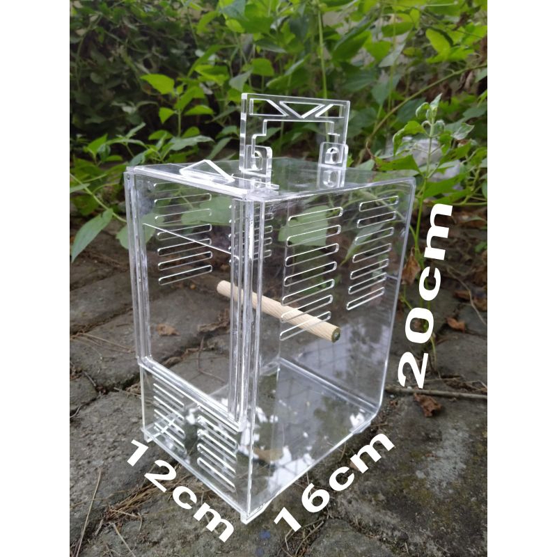Box Akrilik (bawa burung)