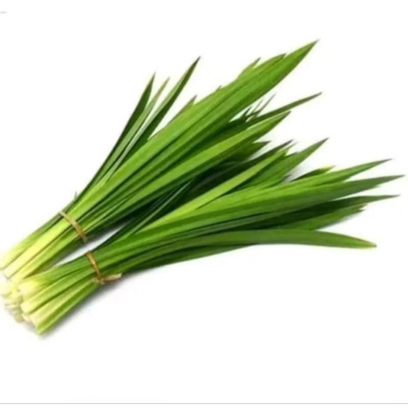 

HERBAL ALAMI 10 LEMBAR DAUN PANDAN