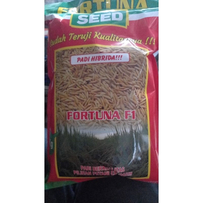 Benih padi Fortuna seed(Fortuna F1)