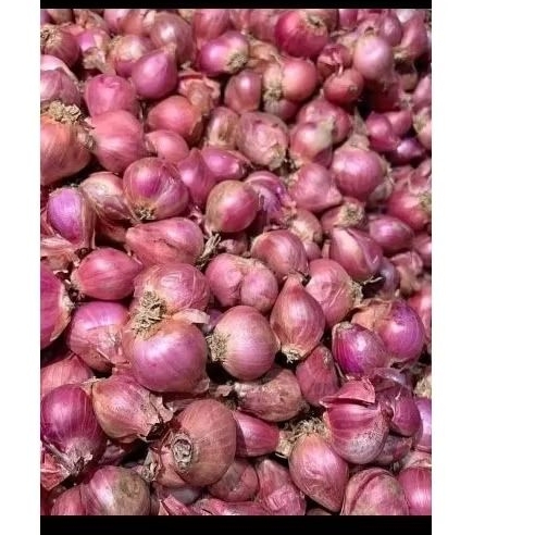 

bawang merah