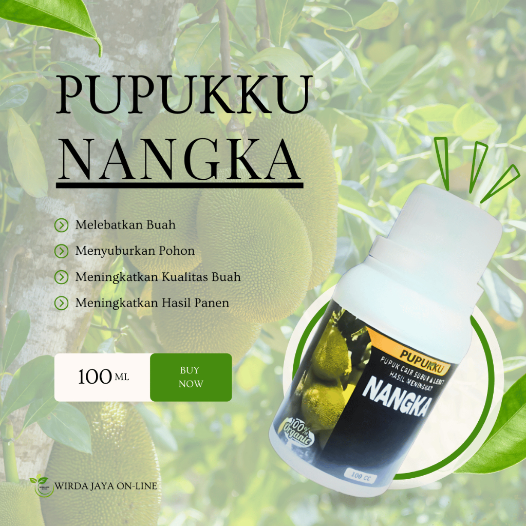Pupuk Pelebat Buah Nangka Booster Nangka Penyubur Pohon Nangka Pupuk Pohon Buah Nangka Berbuah Lebat