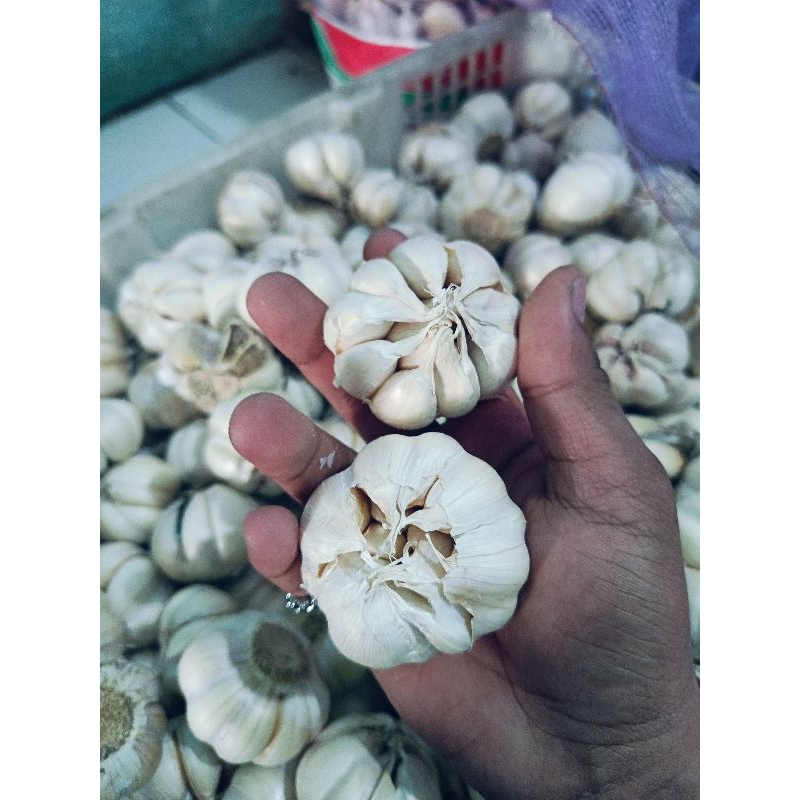 

Bawang Honan/Banci PER 500gram
