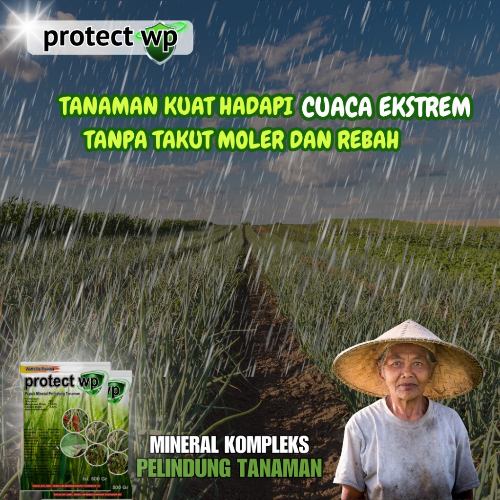 Protect WP 500 Gram Pupuk Mineral Plus Silika Kover WP