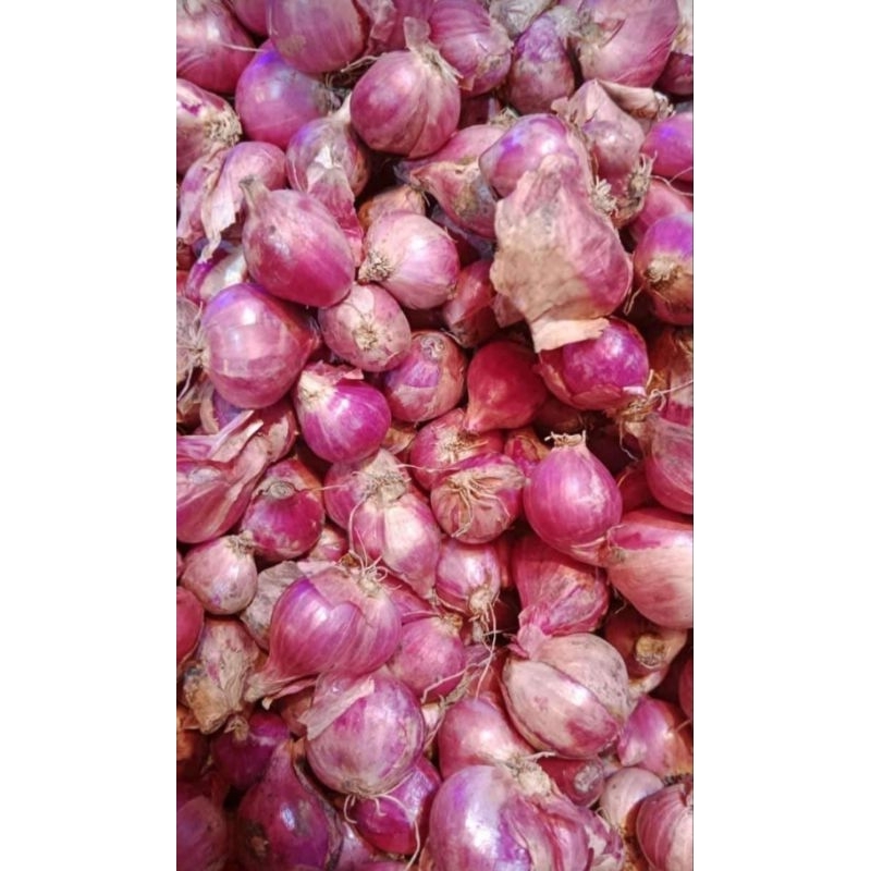 

BAWANG MERAH FRESH YA BERAT SEADANYA