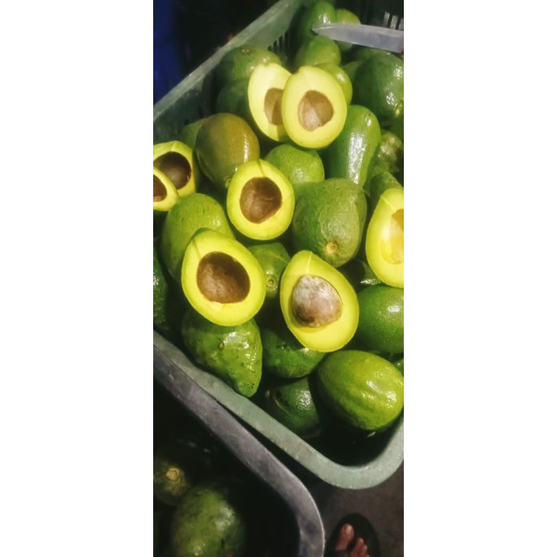 

Alpukat Mentega
