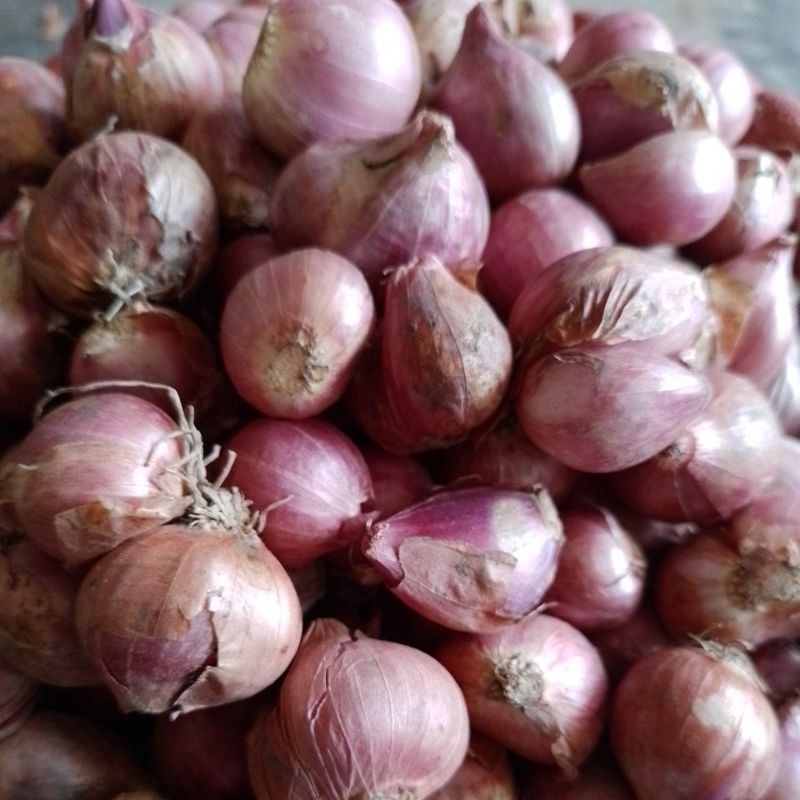 

Bawang Merah Brebes/ Obral bawang Murah/ Bawang Merah 1 kg