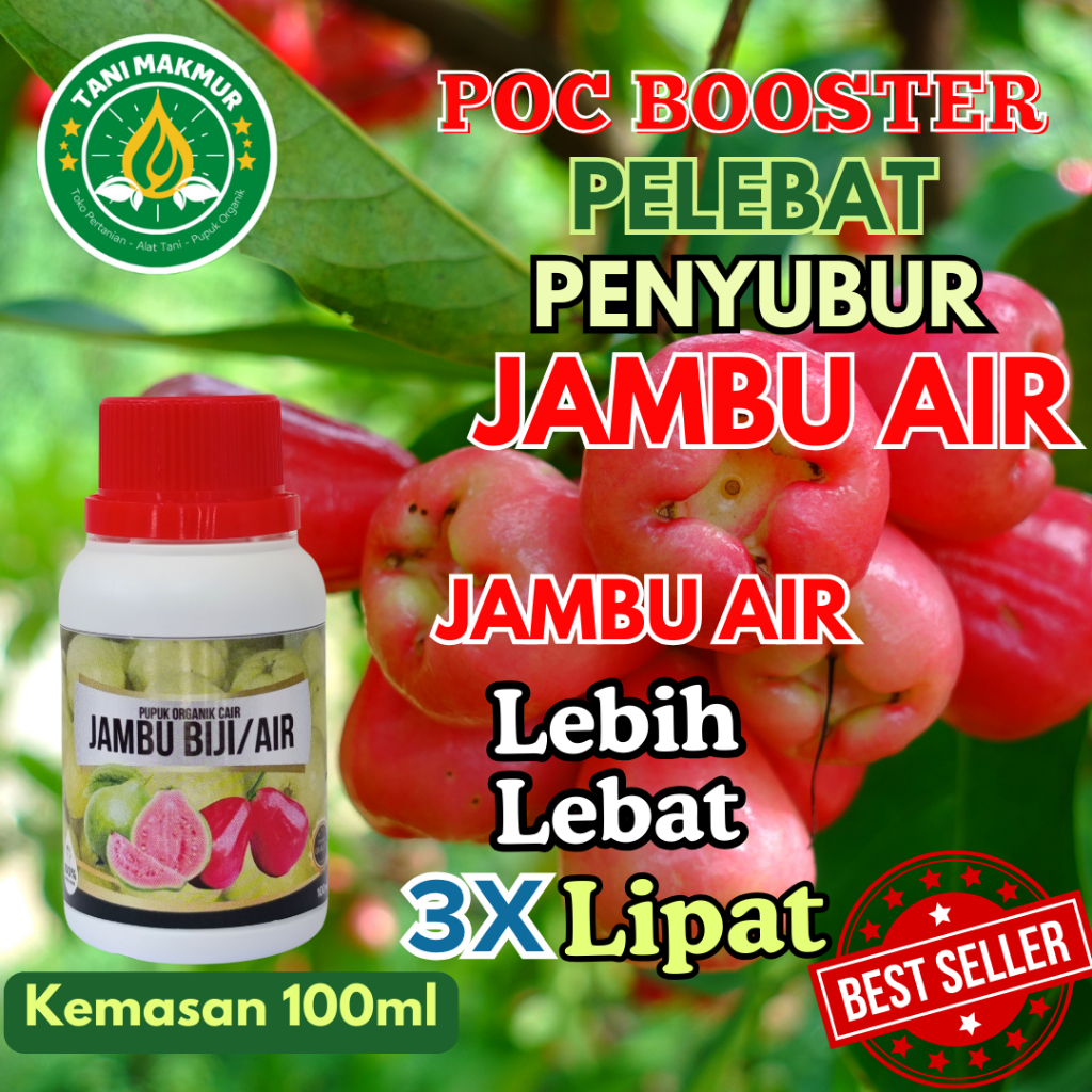 Pupuk Buah Jambu Air | Pupuk buah lebat | Pupuk Organik cair booster agar jambu air cepat berbuah