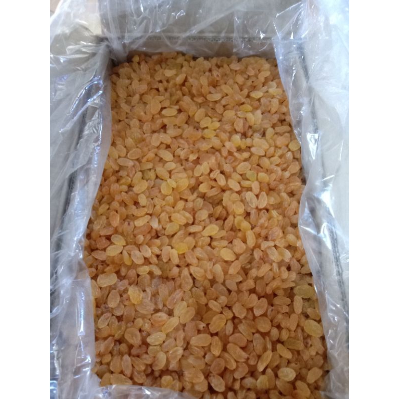 

OLEH OLEH HAJI DAN UMROH Kismis manis buah lebih besar isi 1/2kg