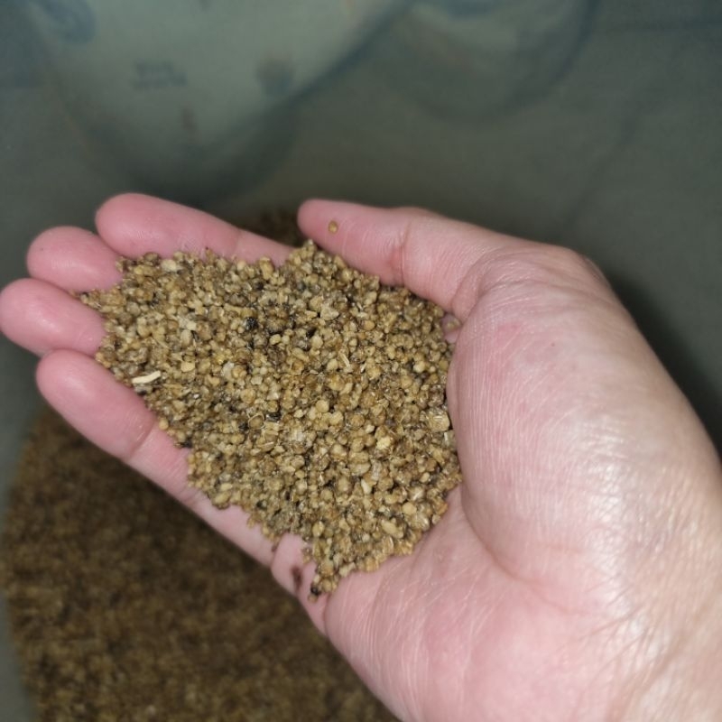 

COD Oyek Singkong Bakal Tiwul Instan Tiwul Instant 1 Kg