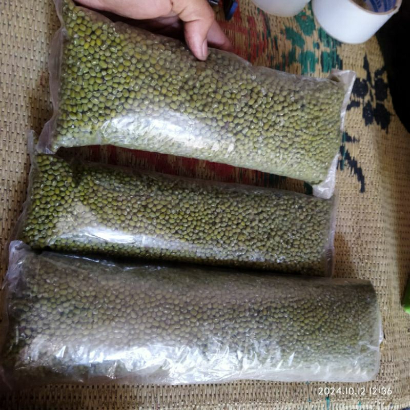 

ready kacang hijau baru panen oktober 2024