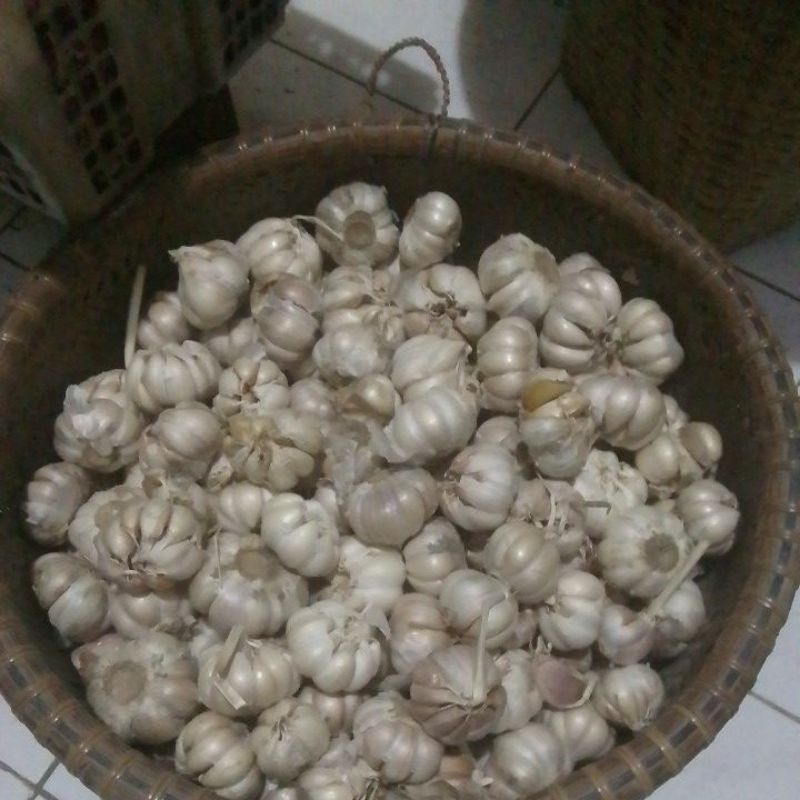 

bawang putih (1kilo)