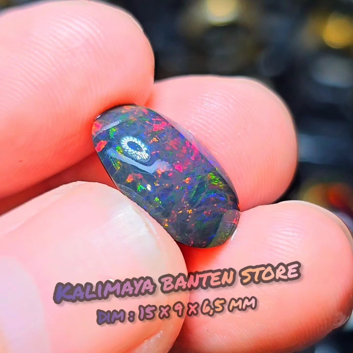 Black Opal Abu Solid Banten Jarong HC