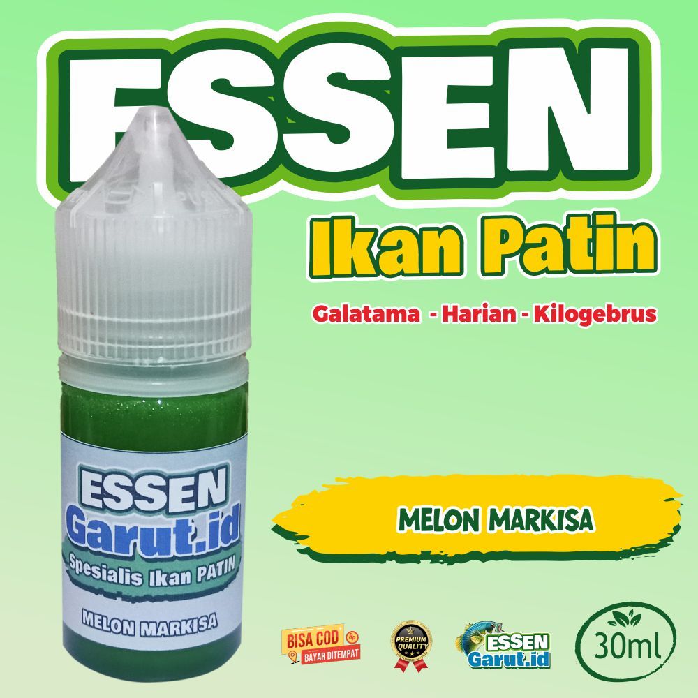 MELON MARKISA - Galatama Harian PATIN /essengarut.id