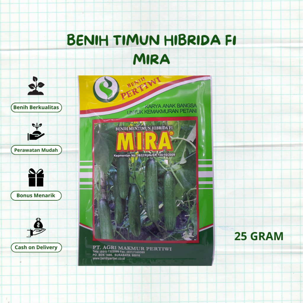 Benih Bibit timun hibrida MIRA F1 25 gram mentimun hibrida 25gr timun mira 25 gram dari benih pertiw