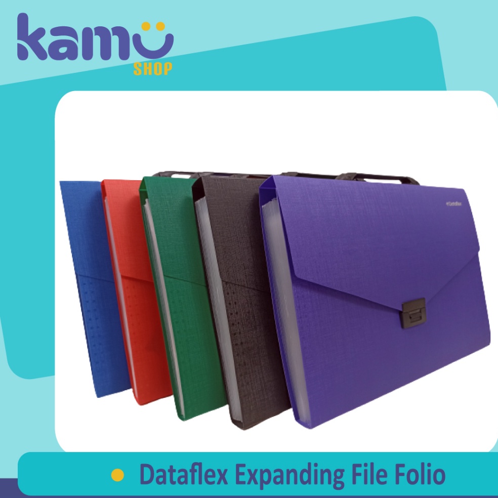 

KODE C6I8 Dataflex Expanding File Folio DF 231