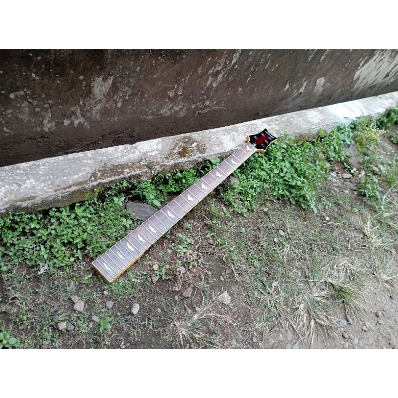 Neck Bass Schecter Stiletto Extreme 5 String