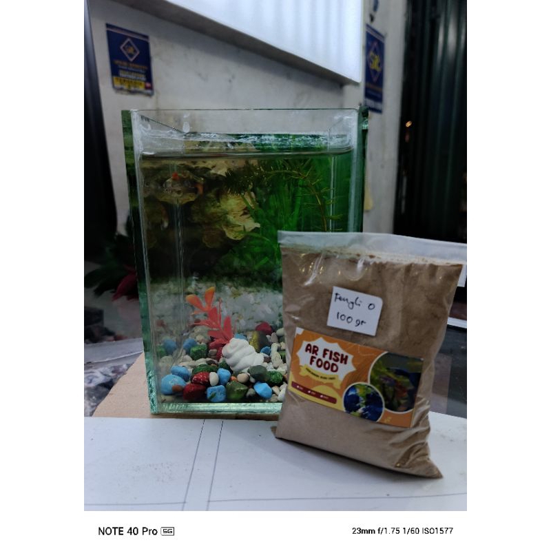 fengli 0 100gr(repack)