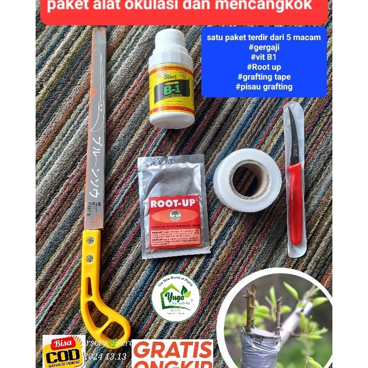 Produk Terpopuler  Paket Lengkap Alat Okulasi dan Grafting Gergaji Vit B1 Root up okulasi tape pisau