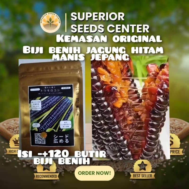 kemasan original 120 butir biji benih jagung ketan hitam manis jepang impor F1(isi 120 butir biji be