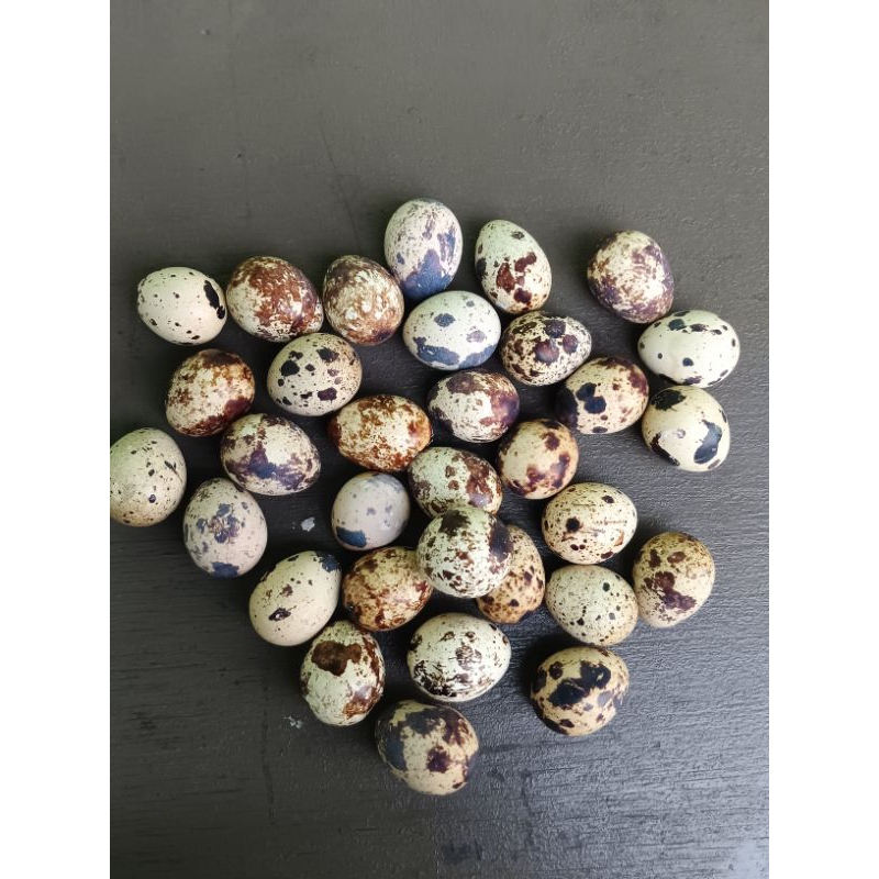 

Telur puyuh matang / rebus
