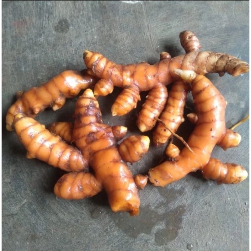 

kunyit sayur 250 gram