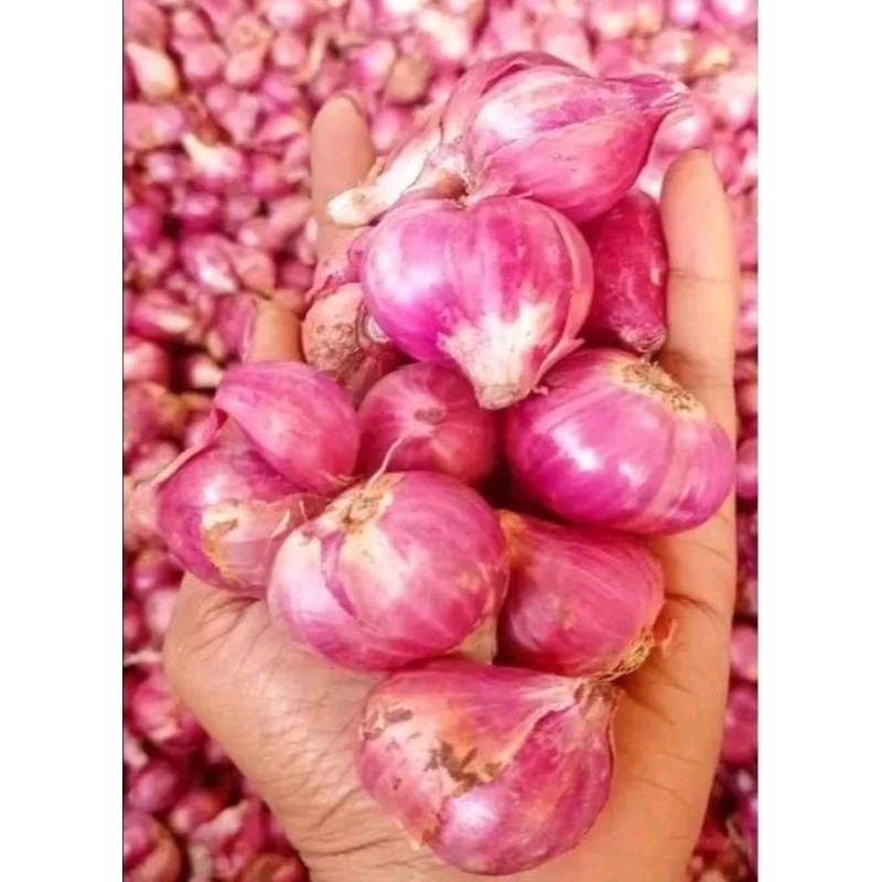 

Bawang Merah Besar per 1000 gram (1Kg)